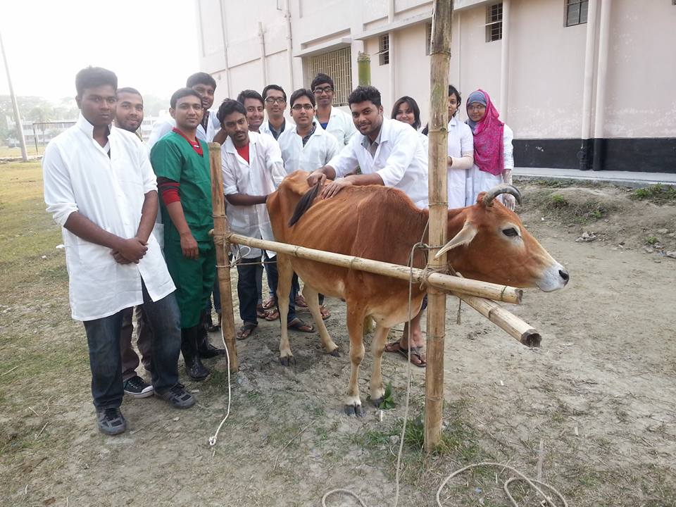 Artificial Insemination (AI) Training